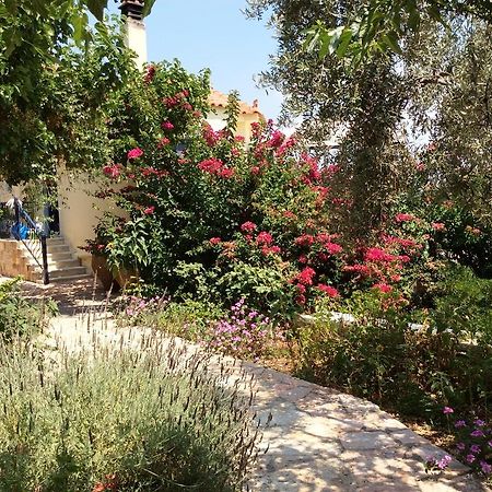 安吉利卡别墅酒店公寓 Epidaurus 外观 照片