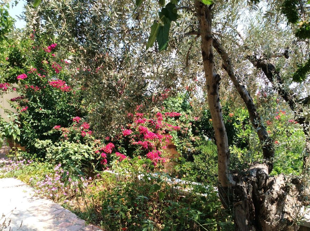 安吉利卡别墅酒店公寓 Epidaurus 外观 照片