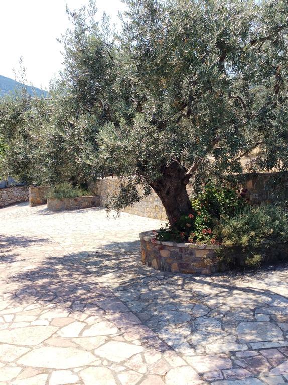 安吉利卡别墅酒店公寓 Epidaurus 外观 照片