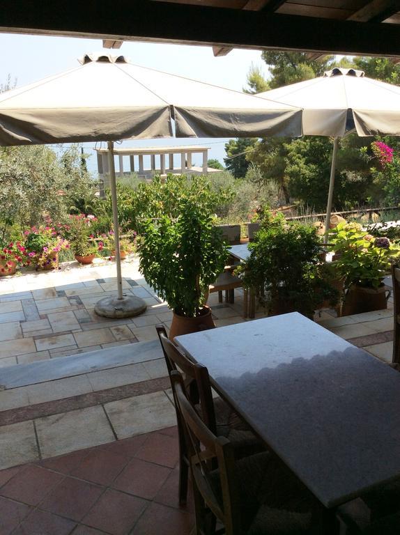 安吉利卡别墅酒店公寓 Epidaurus 外观 照片